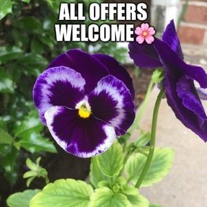 All items in closet!